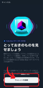 【Twitter Blue】NFTをTwitterアイコンに設定する方法2