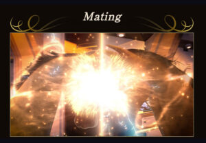 【ユニスタ（UNIVERSAL STALLION）】Mating