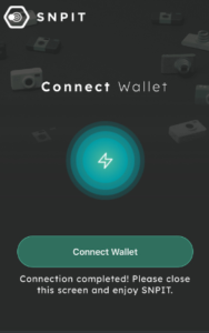 【SNPIT】メタマスクでウォレット接続する手順4